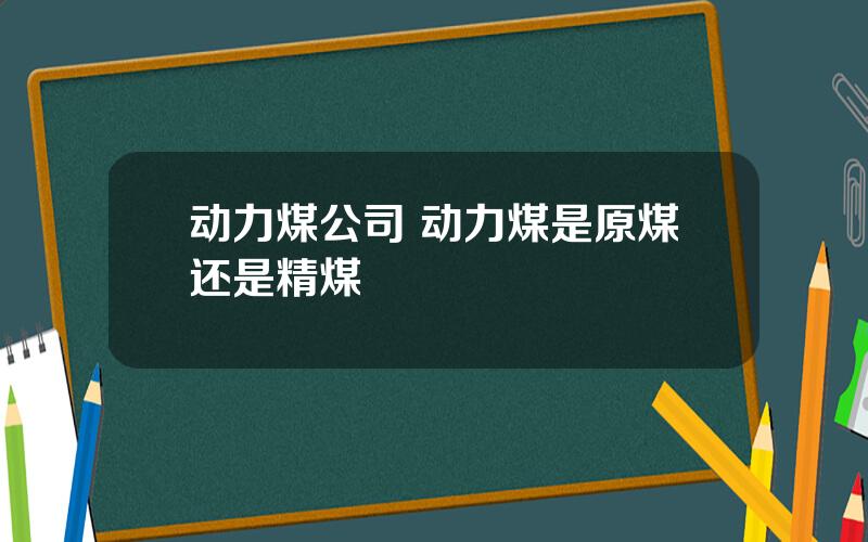 动力煤公司 动力煤是原煤还是精煤